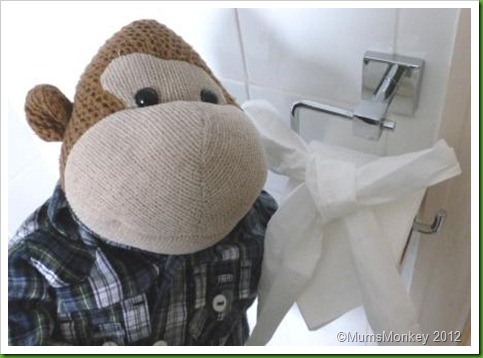 Toilet paper bow Toilet paper bow
