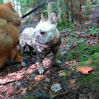 G.K., exploring nature can be dirty business!  Nothing a good bath can't cure.