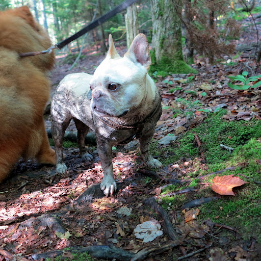 G.K., exploring nature can be dirty business!  Nothing a good bath can't cure.