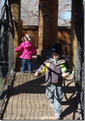 The Zoo, January 2012 026