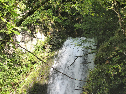 平金大滝