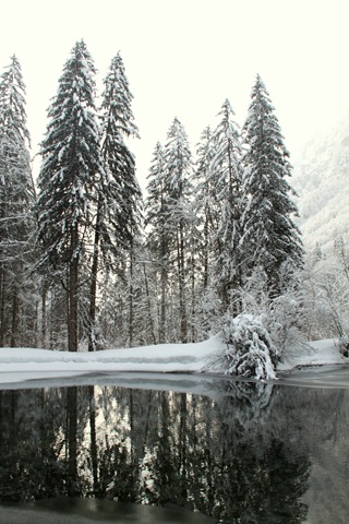 [IMG_1868%255B3%255D.jpg]