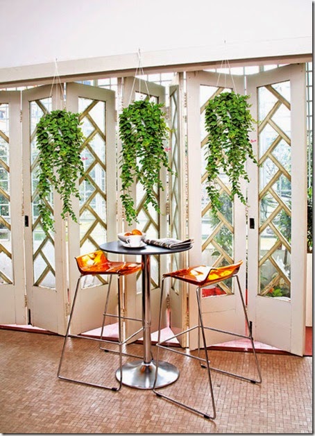 hanging plants hanging plants