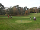 Photo24 111105 Wildwedstrijd