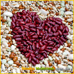 legumes.jpg