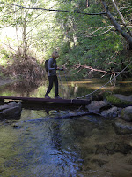Beth Fords Creek Photo Beth Fords Creek Photo