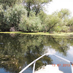 DSCN3096.JPG
