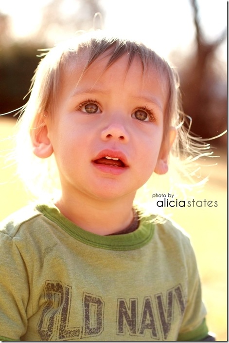 alicia-states-utah-kauai-family-photography027 