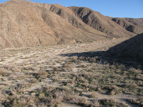 Looking south down Carrizo Canyon