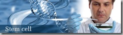 stem cell stem cell