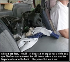 When it got dark, I would let Shylo sit on my lap for a while and <br />give Shadow time to stretch his old bones. When it was time for<br />Shylo to return to the back ... they made that work too! When it got dark, I would let Shylo sit on my lap for a while and <br />give Shadow time to stretch his old bones. When it was time for<br />Shylo to return to the back ... they made that work too!