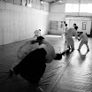 _DSC0859.JPG