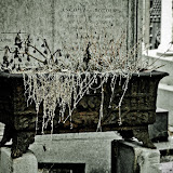 PICT2744