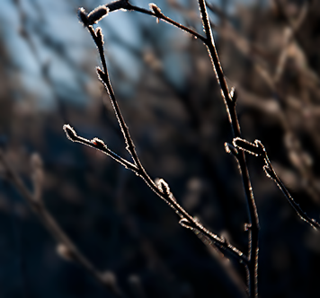 [DSC_0184%255B2%255D.png]