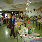 DSC02513.JPG