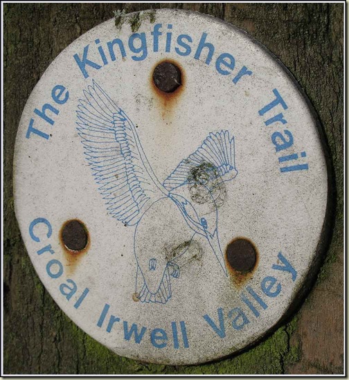 The Kingfisher Trail - logo