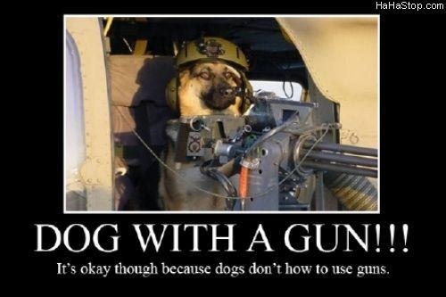 [Dogs_With_Guns%255B3%255D.jpg]