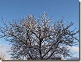 IMG_2355 IMG_2355