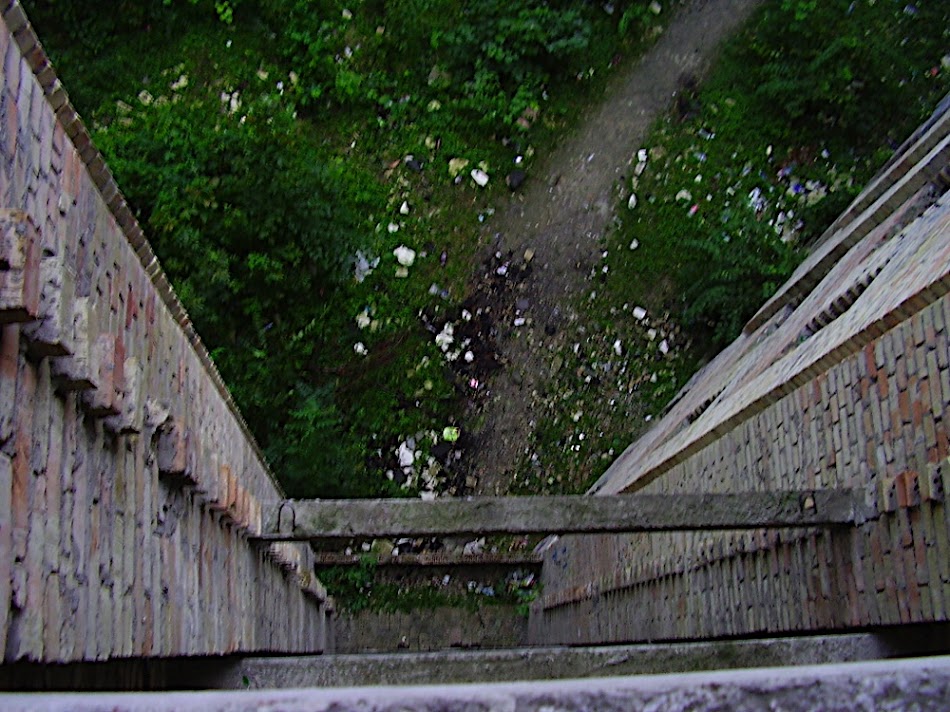P8280630.JPG