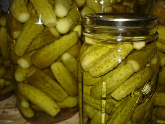 Dill-pickles