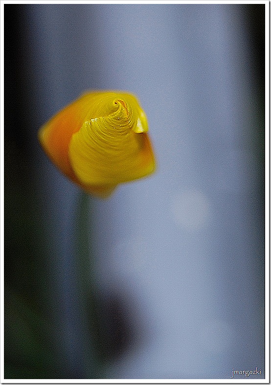 DSC_0016_01 DSC_0016_01