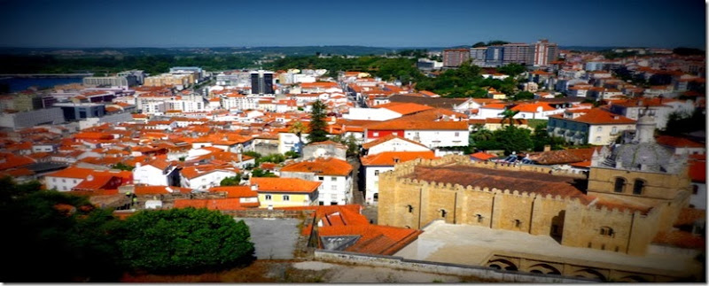 P1080902 P1080902