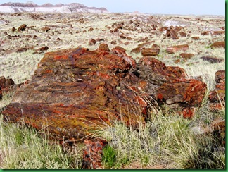 Painted Desert & Petrified Forest 379
