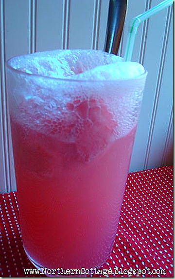northern cottage raspberry fizz