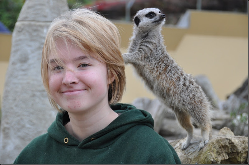 Jess with Meerkat