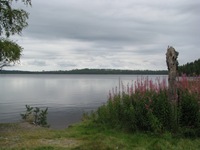 IMG_7550 IMG_7550
