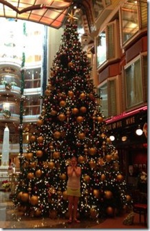IMG_0445 (2)