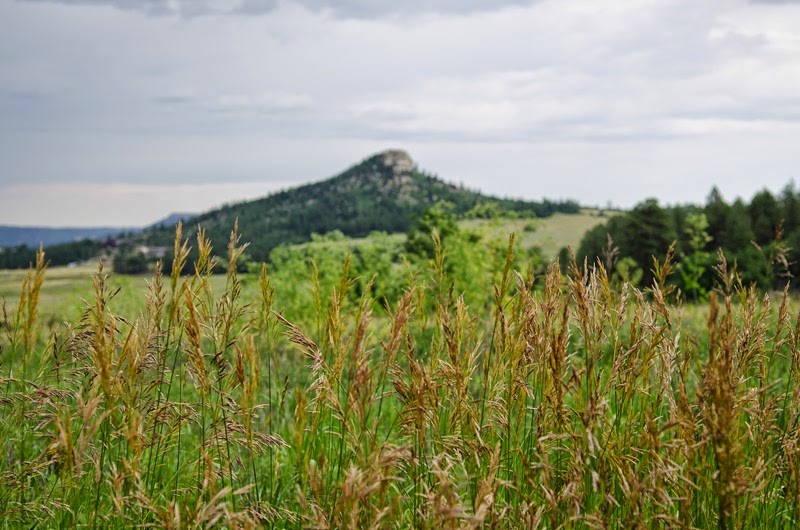 [Spruce%2520Mountain-45%255B3%255D.jpg]