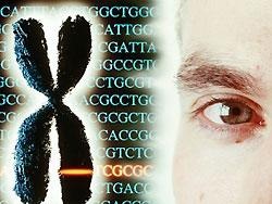 [genes%255B5%255D.jpg]