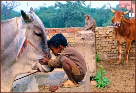 [Children_and_Animals_____by_Indiangal%255B2%255D.jpg]