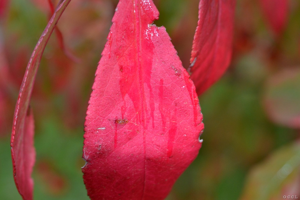 [DSC_1123%255B3%255D.jpg]