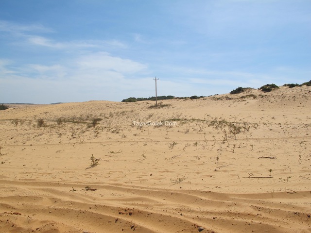 [IMG_42722.jpg]