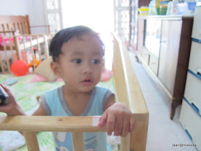 พู่กันเริ่มหายป่วยแต่ยังคึกเป็นม้า