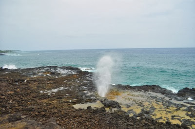 DSC_9486