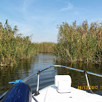 IMG_8030.JPG