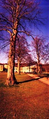 Riseholme-Campus-6---XPRO