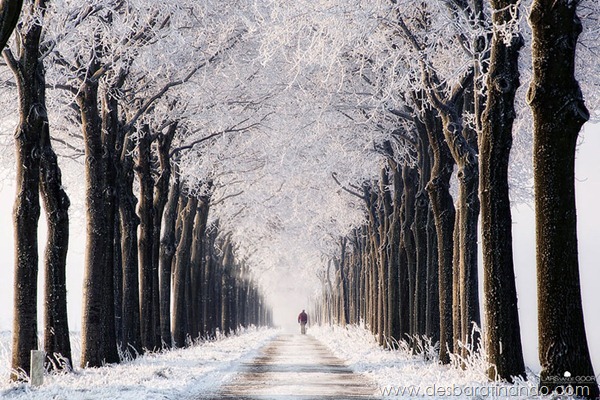 paisagens-de-inverno-winter-landscapes-desbaratinando (20) paisagens-de-inverno-winter-landscapes-desbaratinando (20)