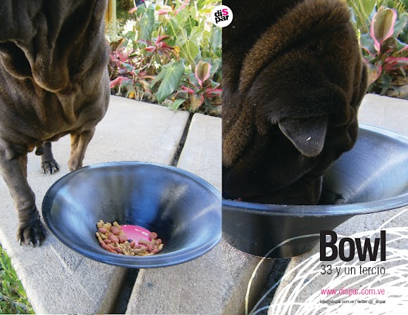 producto_dispar_bowl_33_y_medio - copia-01.jpg producto_dispar_bowl_33_y_medio - copia-01.jpg