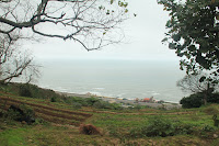 IMG_5191.JPG