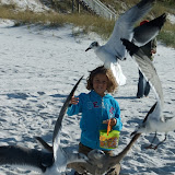 DSCF2701.JPG