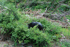 glacier_national_park_-_2009