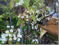 DSC02060 DSC02060
