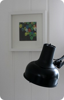 IMG_8161