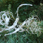 IMG_1722.JPG