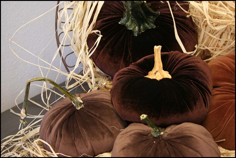 pumpkins3