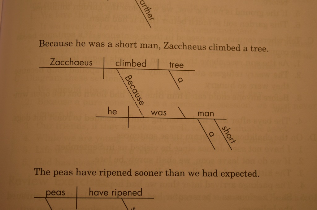 [DSC_2871%255B4%255D.jpg]